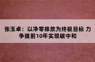 张玉卓：以净零排放为终极目标 力争提前10年实现碳中和